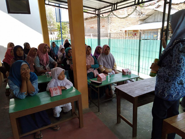 Penyuluh KB melakukan penyuluhan