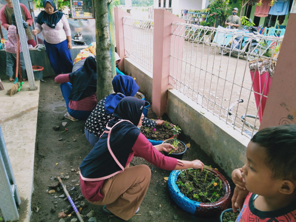 Setelah diberi tanah kemudian ditanami bunga-bunga