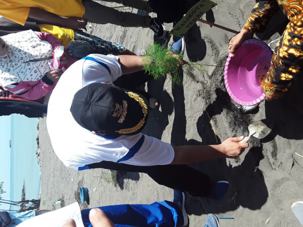 Penanaman pohon cemara pantai  oleh Bapak Walikota 