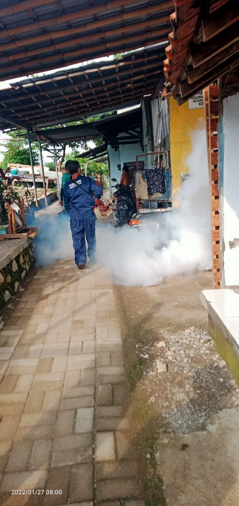 FOGGING/PENYEMPROTAN NYAMUK DEMAM BERDARAH