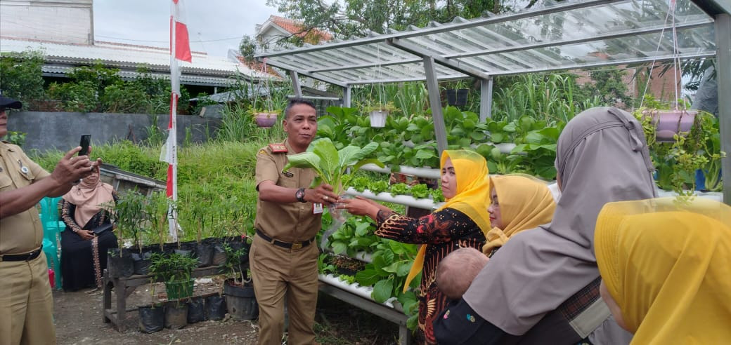 Panen Perdana Program Urban Farming Solusi Lahan Sempit Di RW. 09 Kelurahan Panggung