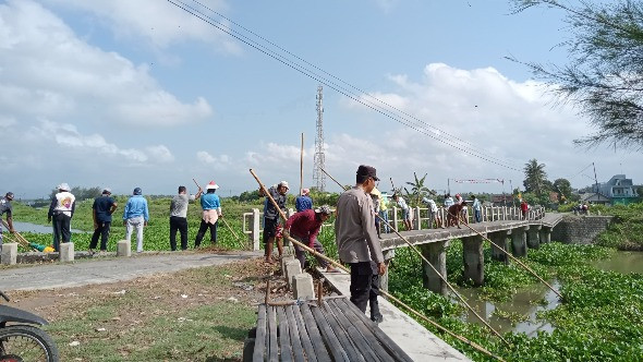 Benahi Saluran, Warga Kalurahan Bugel Gotong Royong Bersihkan Enceng Gondok