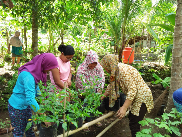 Evaluasi Kegiatan KWT Dhuawar Kroco Sendangsari