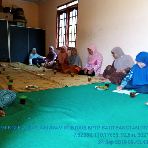 KWT Sekar Arum Mendapat Bantuan Ayam KUB