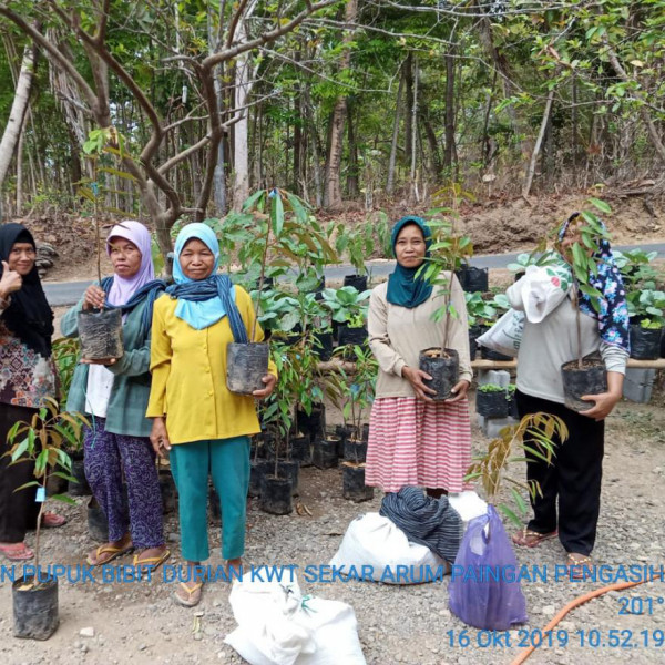 Anggota KWT menerima Bibit Durian dari Dinas Pertanian dan Pangan Kulon Progo