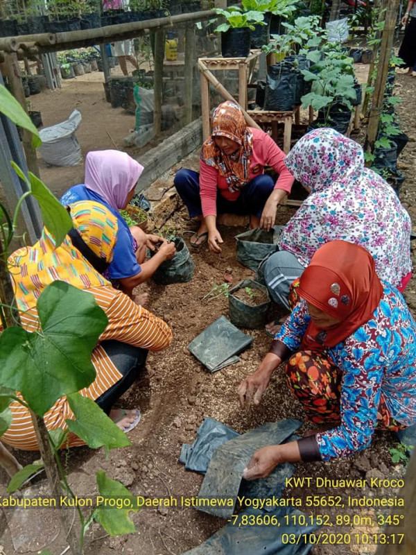 KWT Dhuawar Kroco Sendangsari Melaksanakan Kerja Bakti di Demplot KWT