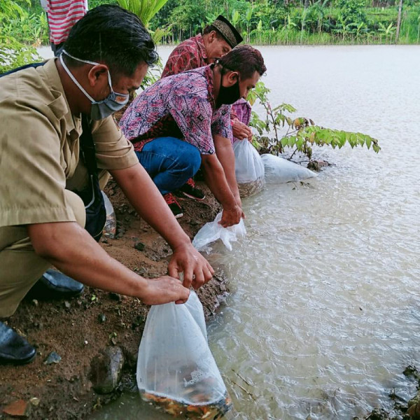 DUA BELAS RIBU BENIH IKAN DITEBAR DI EMBUNG BOGOR DAN EMBUNG BLUBUK