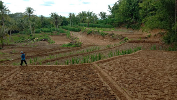 Hamparan Sawah Cetak Baru siap ditanami padi