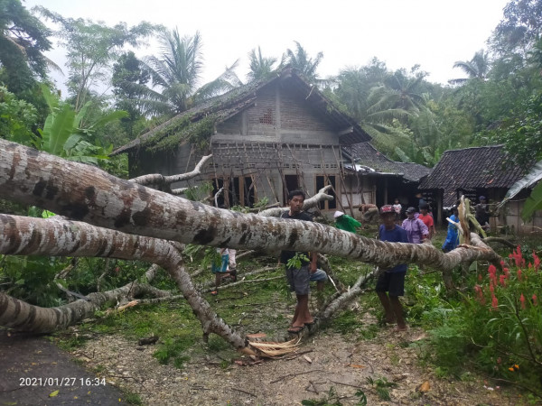 Warga bergotong royong membantu warga yang terkena musibah rumah tertimpa pohon