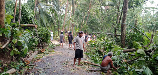 CUACA EKSTRIM, POHON AMBRUK MENGENAI RUMAH WARGA