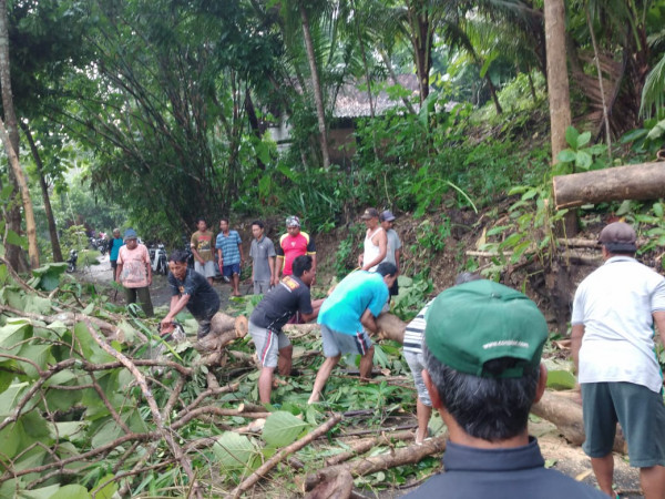 Warga gotong royong membersihkan pepohonan yang menimpa jalan