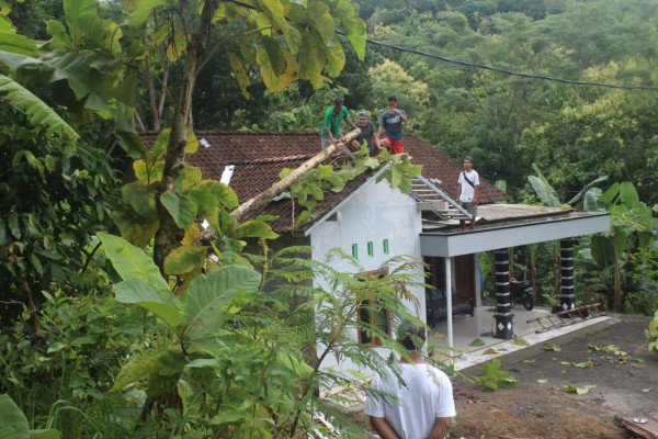 Keadaan rumah terkena pohon tumbang beserta akarnya saat diterpa angin