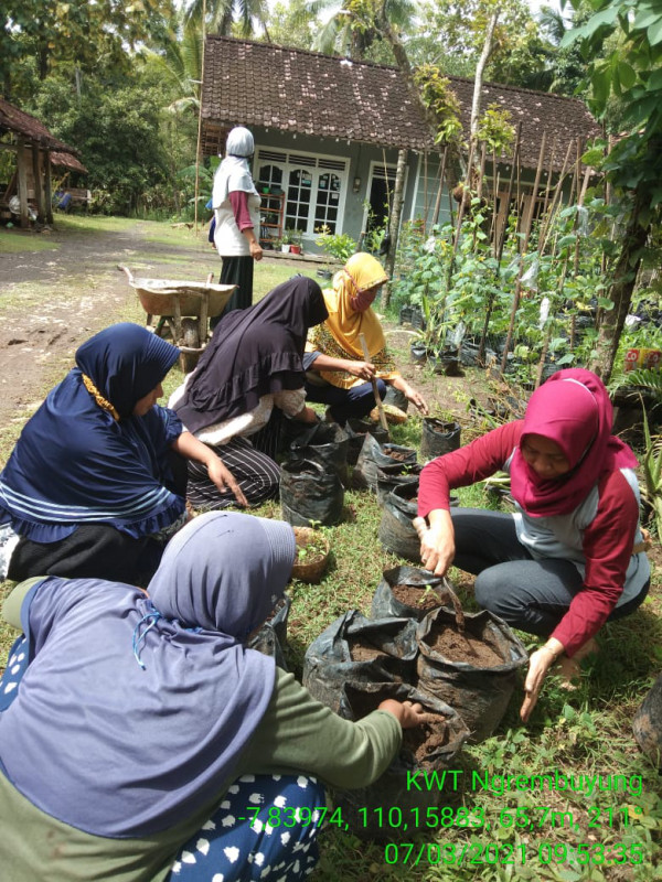 Pembuatan Media Tanam oleh ibu-ibu anggota KWT