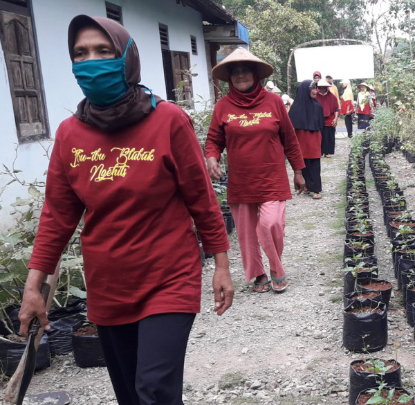 Perencanaan Kegiatan Menanam Tanaman Obat Keluarga Oleh KWT Sido Mekar 