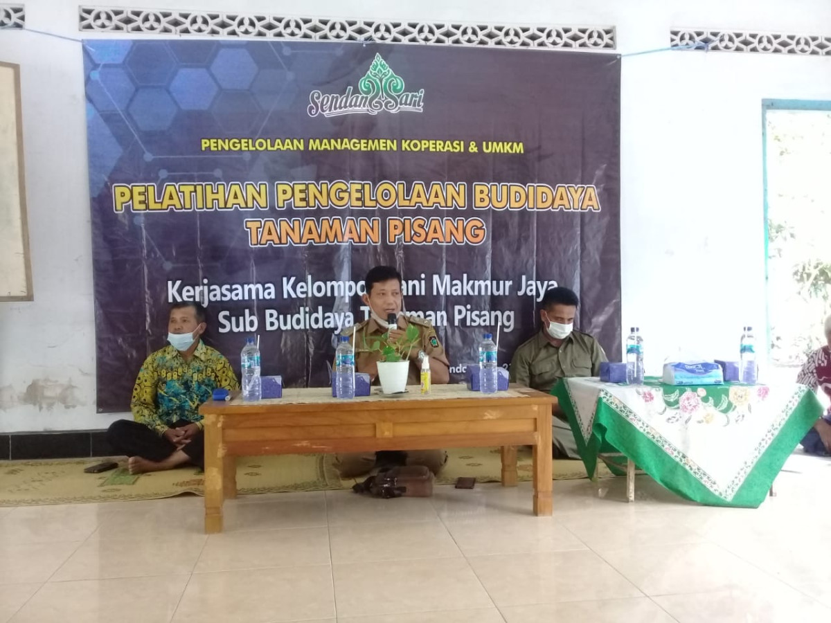 LPMK Sendangsari mengadakan Pelatihan Budidaya Pohon Pisang