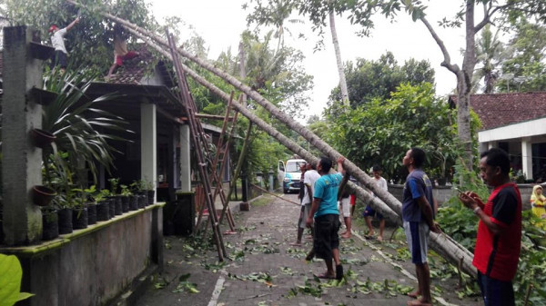 Pengkondisian Pohon Tumbang di Kampung KB Gumulan