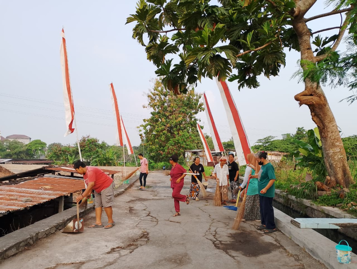 Dawis Teratai menyapu di dekat kandang sapi