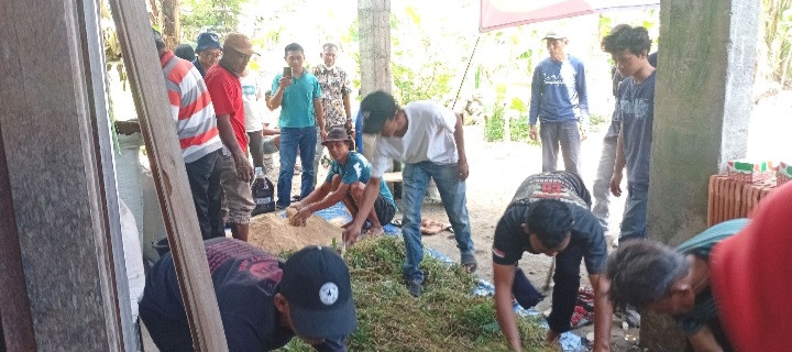 Praktek pembuatan pakan ternak fermentasi
