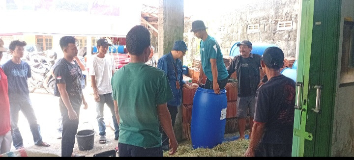 Praktek pembuatan pakan ternak fermentasi