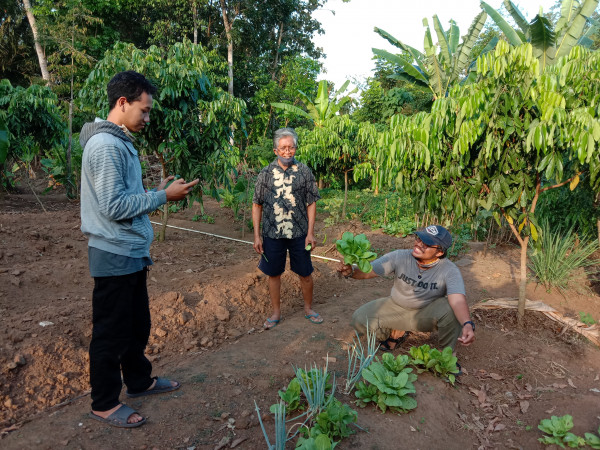 Mas Dede dan Mas Andika,mahasiswa KKN UGM,,belajar beternak ayam kampung biasa dan Ayam Kampung Unggul,dan bertanam sayuran.