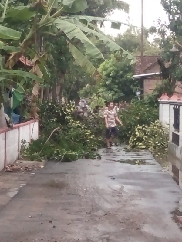 Kerja Bakti Membuka Akses Jalan Membersihkan Pohon Akibat Angin Ribut