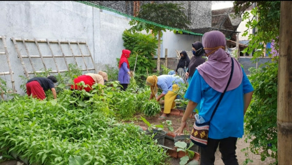 Seksi Lingkungan, KWT JOHO MANDIRI panen kangkung