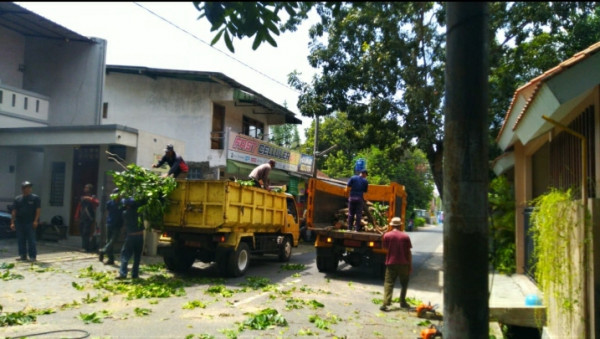 Seksi lingkungan, Pemangkasan pohon di jln Rajawali Raya Padukuhan manukan