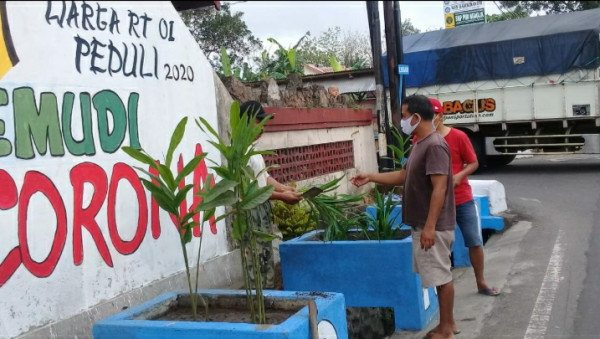 Seksi Pembinaan Lingkungan, Penanaman jahe dan lengkuas 