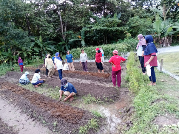 Kegiatan kwt padukuhan kayen