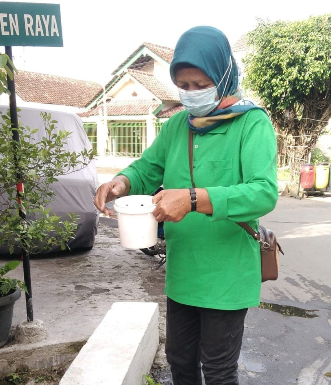 Pergantian telur nyamuk ember si wolly ibu kader ped kayen