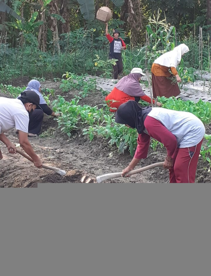 Pertemuan kwt tani makmur condongcatur