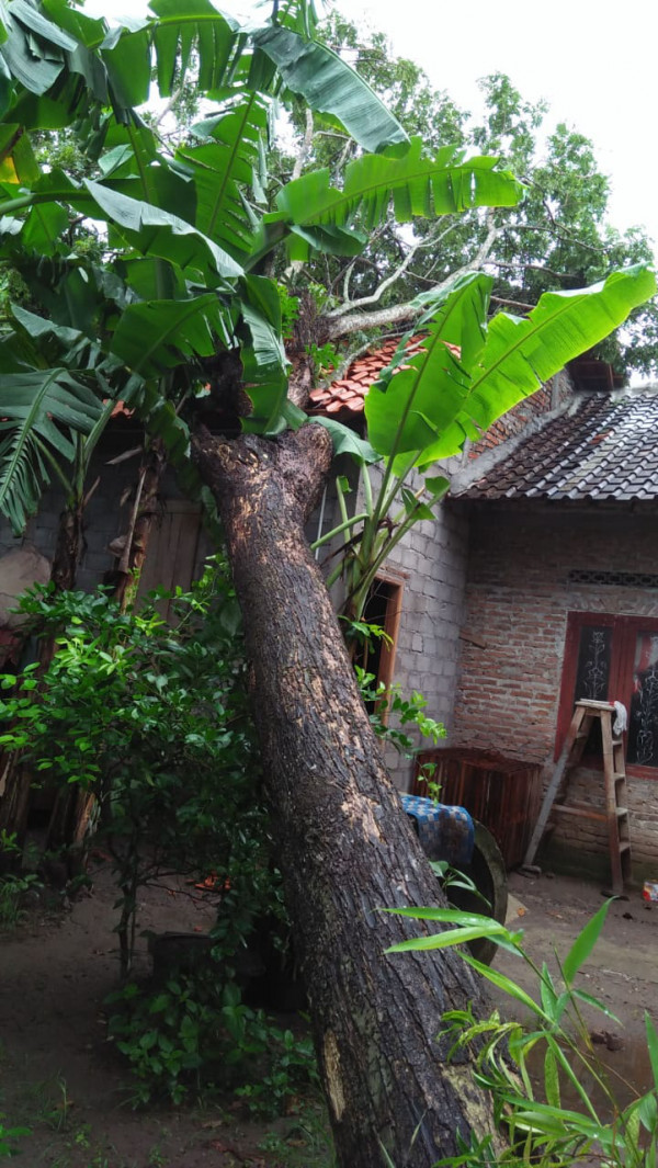 Gotong Royong Kampung (Rumah Tertimpa Pohon) Akibat Angin Puting Beliung