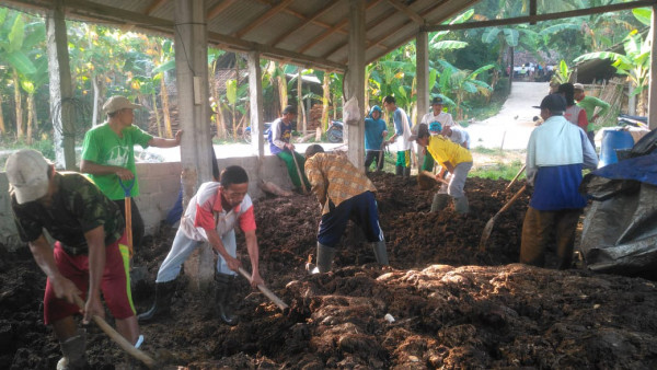 Pembuatan Pupuk Organik Kelompok Ternak Lembu Reden Dusun Sengir