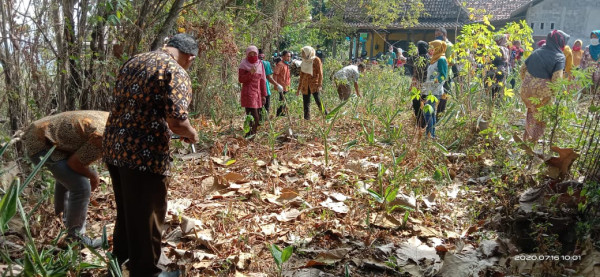 Kampung KB Sengir_Kelompok Wanita Tani Sari Makmur_Praktek Penanggulangan Hama Tanaman