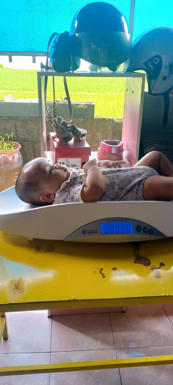 POSYANDU LILY PADUKUHAN DINGINAN