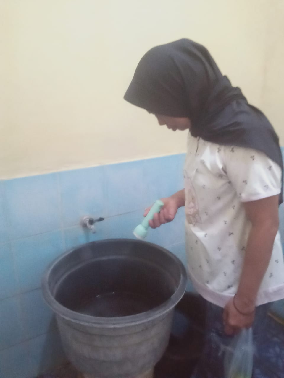 JUMANTIK GERANIUM RT 03 DINGINAN