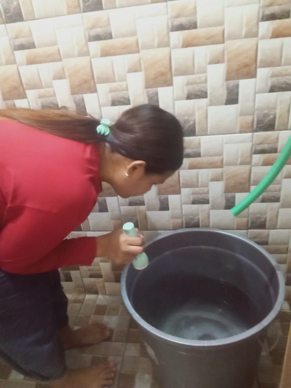 JUMANTIK GERANIUM RT 03 DINGINAN