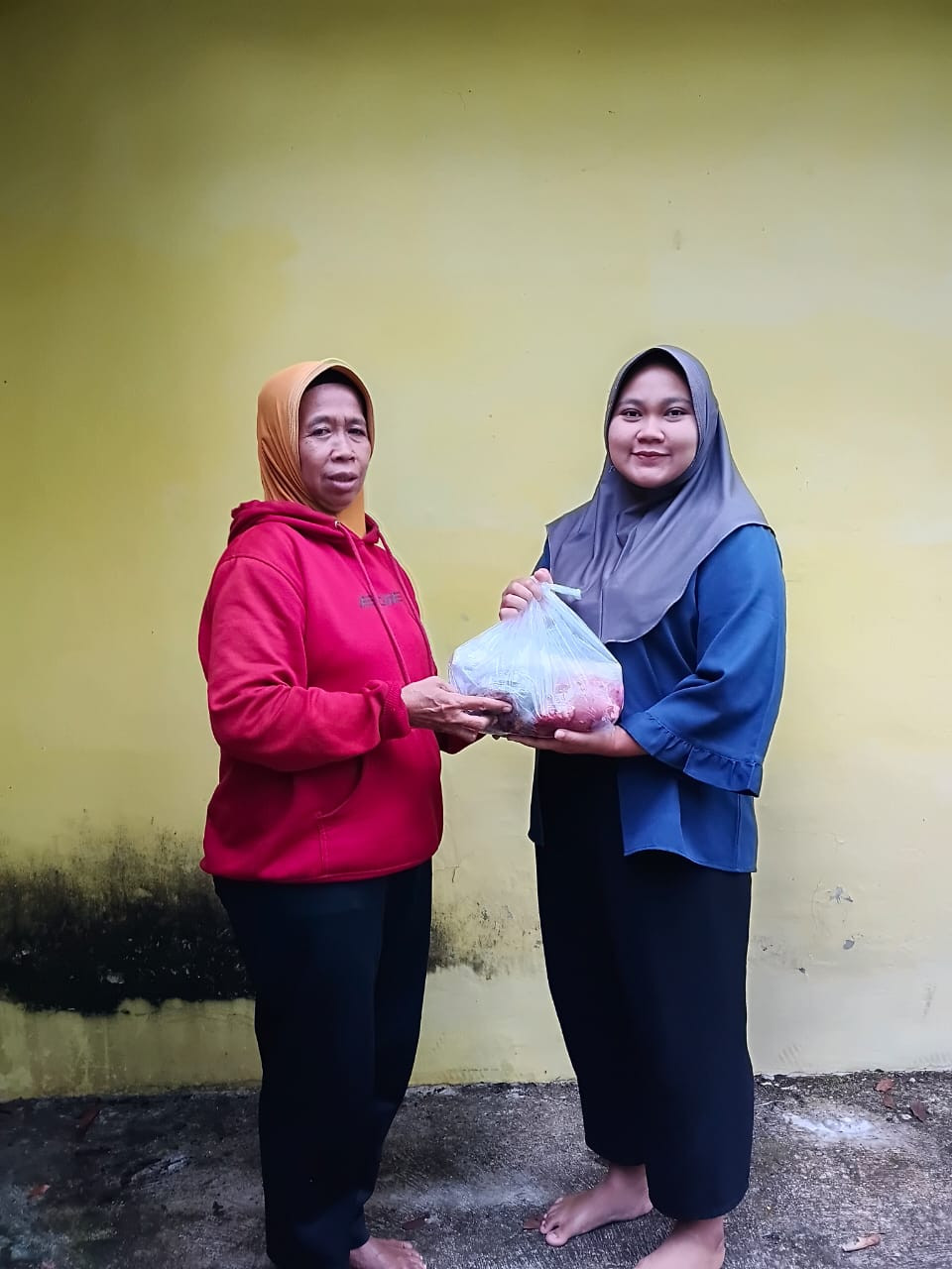 kegiatan pendampingan bumil padukuhan nawung