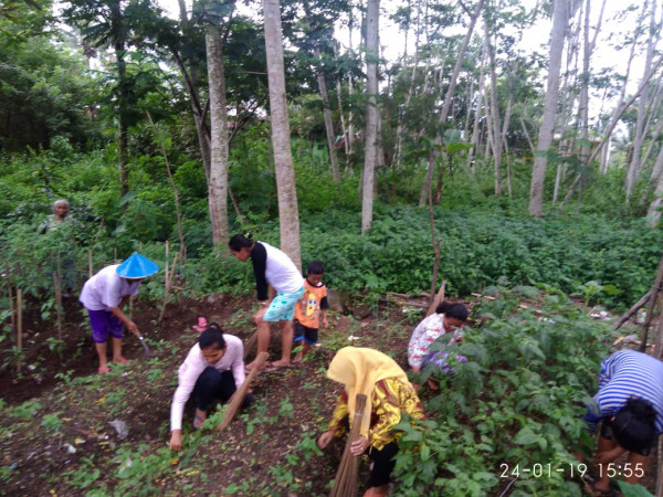 Kerja bakti dan perawatan kebun sayur dan tanaman obat keluarga RT 05 Dusun Sorasan