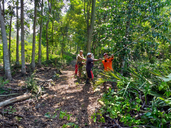 Gotong royong 