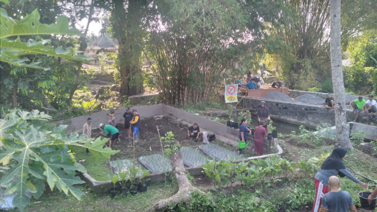 Gotong royong KWT Mawar Handayani dusun Kalibulus