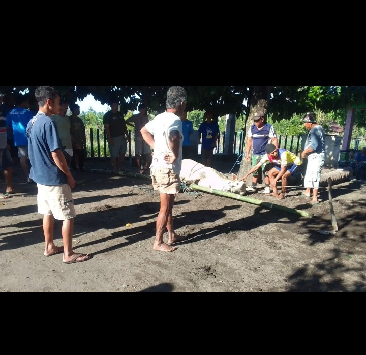 Memperingati hari raya idul Adha