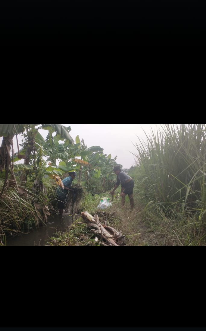 Kerjabakti pembersihan irigasi sawah di area padukuhan Krajan