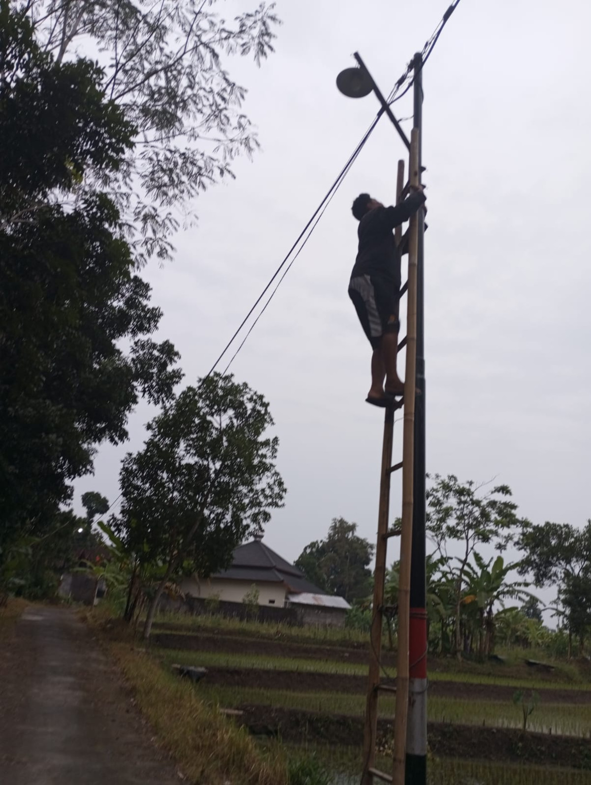 Mengganti lampu penerangan jalan Demangan