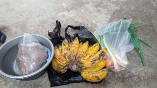 Menyuplai bahan mentah PMT lokal oleh kader Sanggrahan