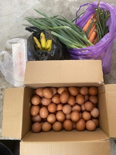 Menyuplai bahan mentah PMT lokal oleh kader Sanggrahan