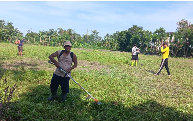 Pembersihan Rumput Lahan Pertanian Oleh Petani Muda Pokoh