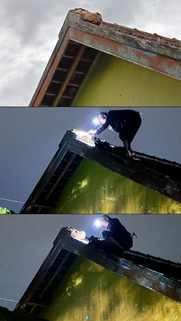 Evakuasi Tawon Vespa di Rumah Warga Sempu oleh Relawan Relawan Relawan Pemadam Kebakaran