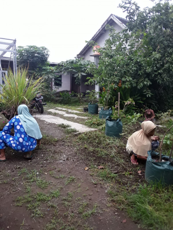 Ibu-ibu membersihkan gulma di kebun