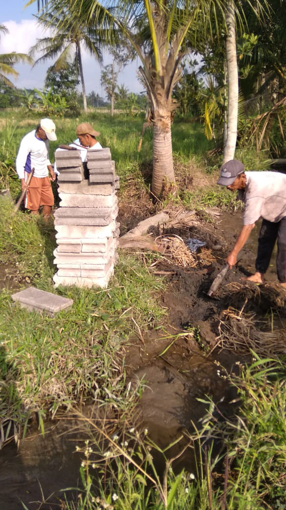 Gotong Royong Pembuatan Saluran Irigasi Kelompok Tani Sedyomulyo Karangasem